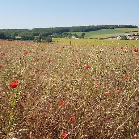 Charming 1-Bed Cottage in Sougeres-en-Puisaye Esterno foto