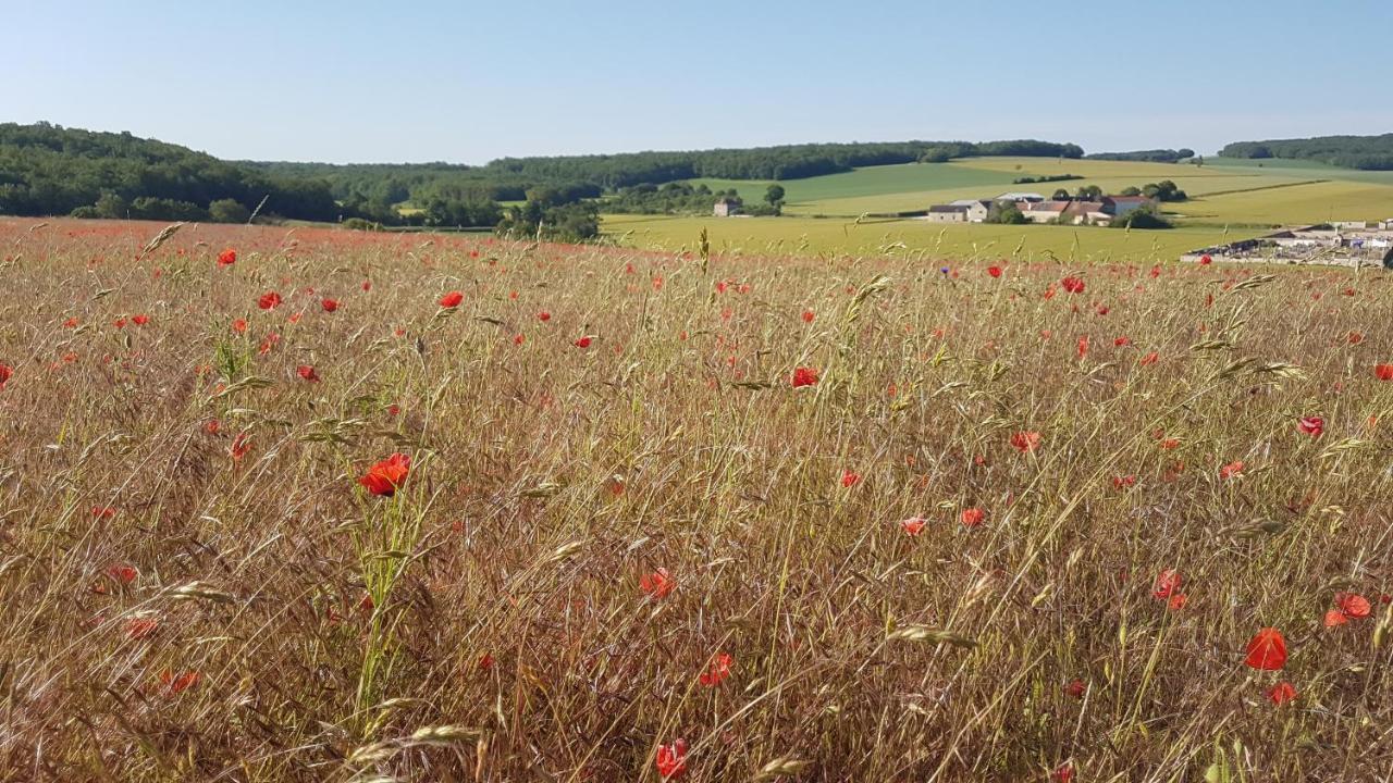 Charming 1-Bed Cottage in Sougeres-en-Puisaye Esterno foto
